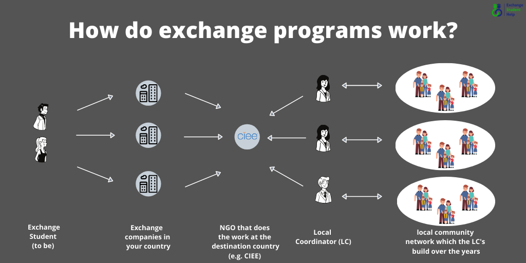 How do exchange programs work?